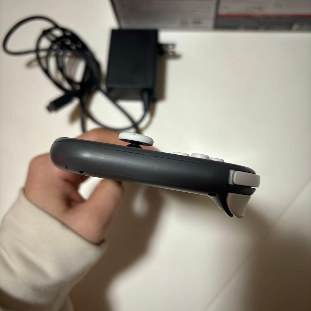 Switchライト　グレー　動作確認済み