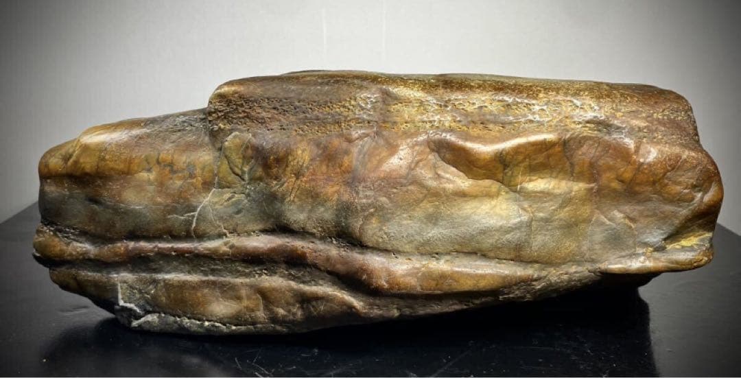 6247 瀬田川飴虎石 ウブ 横38×奥行12(cm) 17.85kg水石 骨董