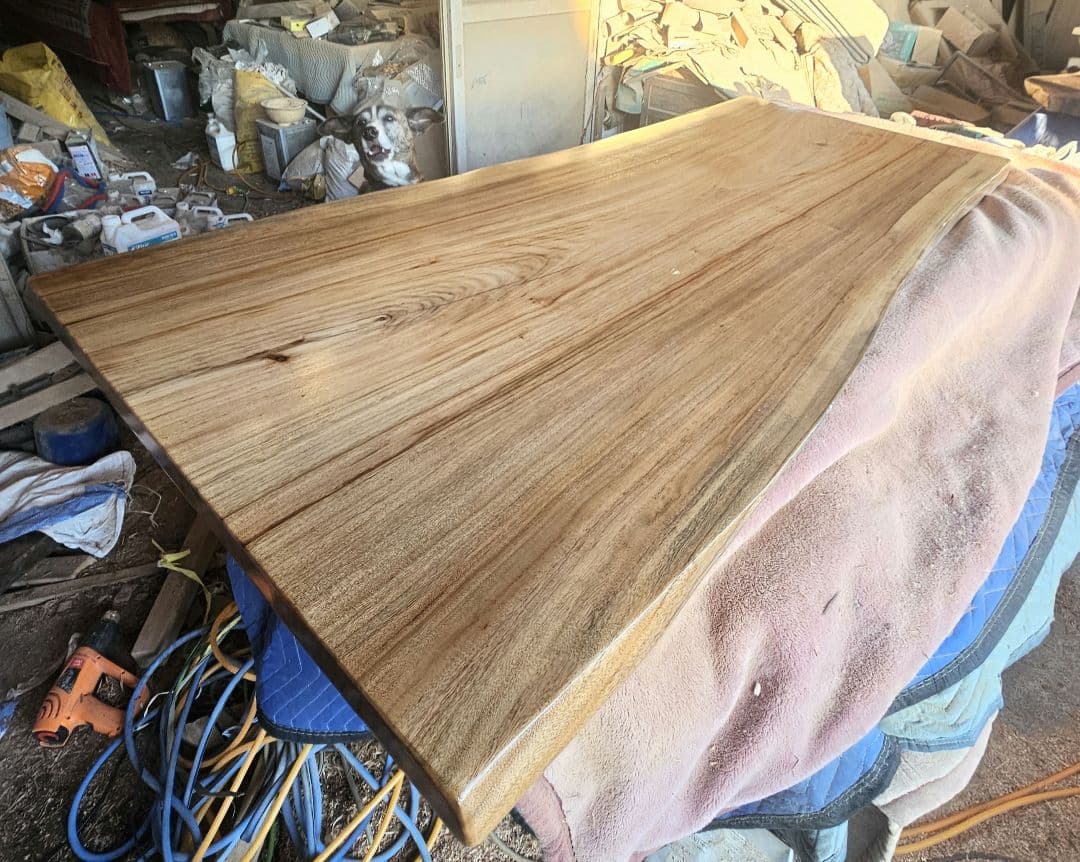 楠　一枚板　ダイニング　テーブル　カウンター　リビング　栃　杢　モンキーポッド