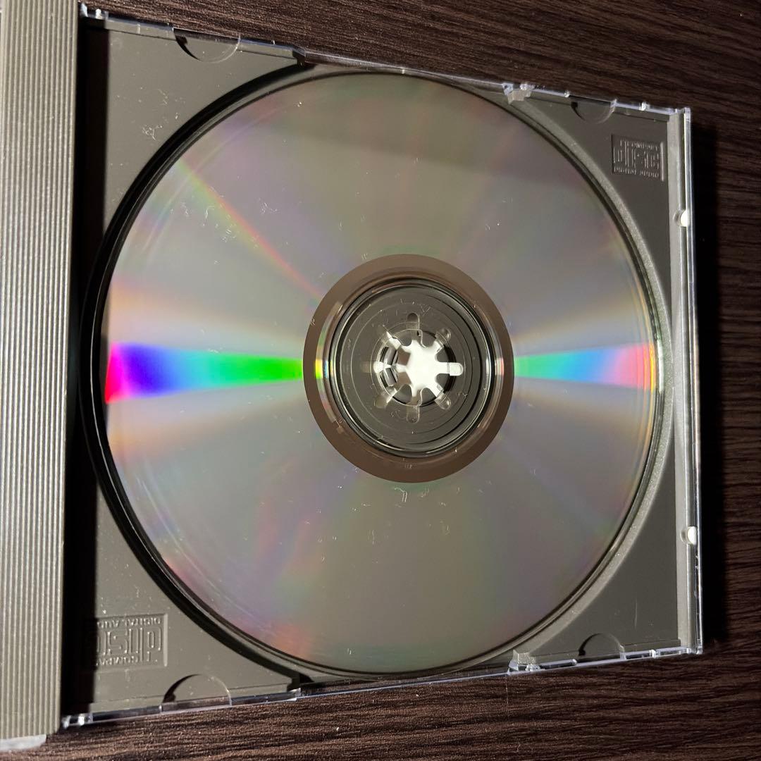 洋楽 Dark millennium/ ashore the celestial bu