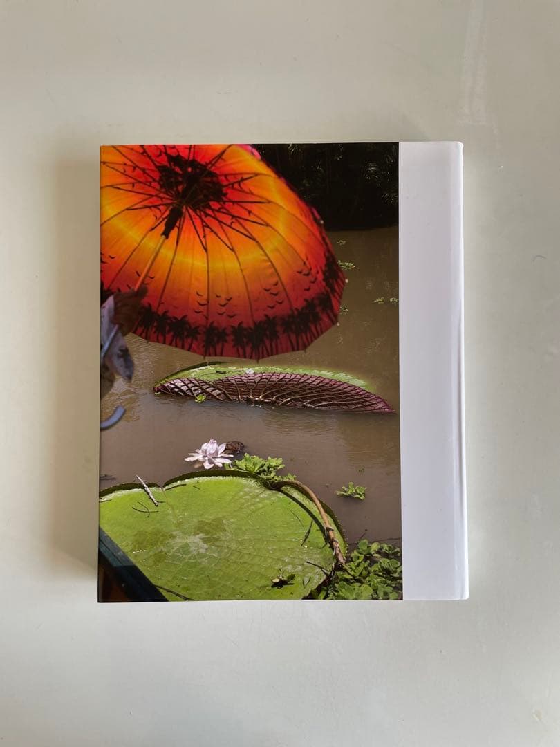 アート・デザイン・音楽 Wolfgang Tillmans FONDATION BEYELER