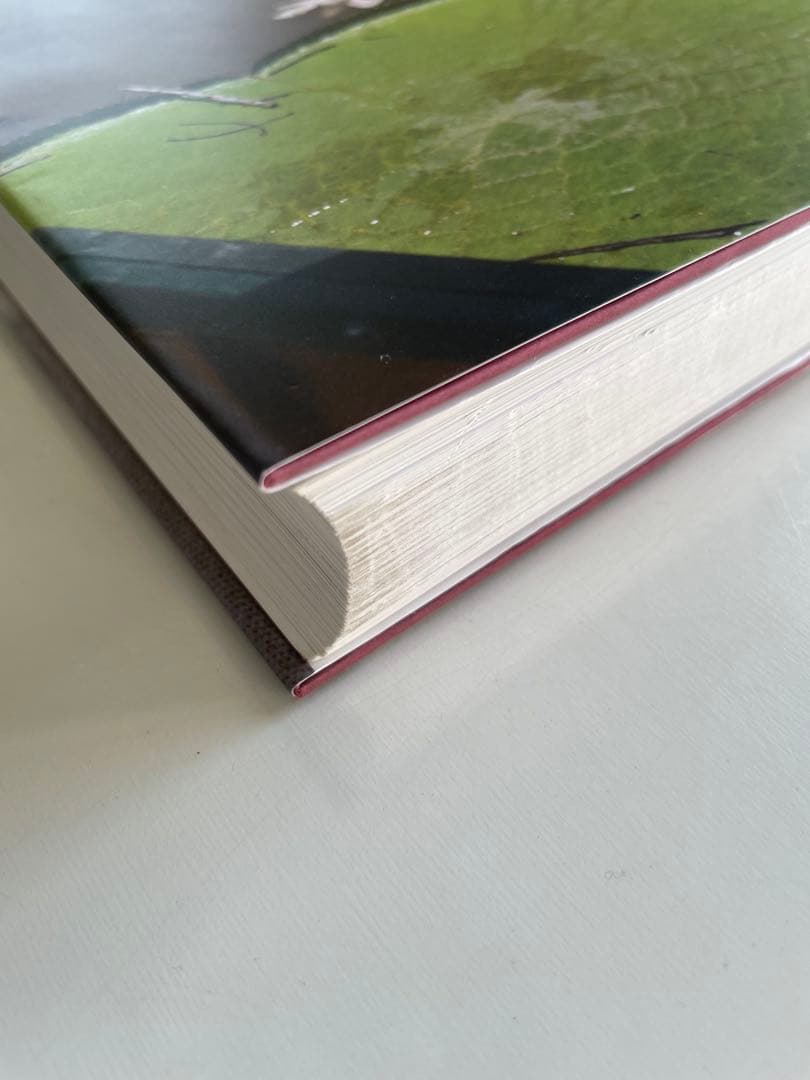 アート・デザイン・音楽 Wolfgang Tillmans FONDATION BEYELER