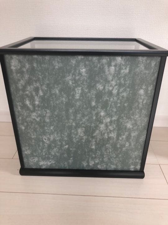 五月人形 日本人形