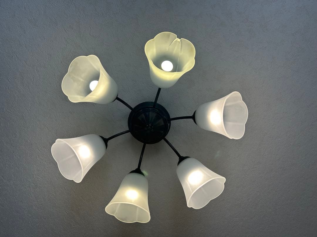 フラワー型シャンデリア 6灯 ホワイト