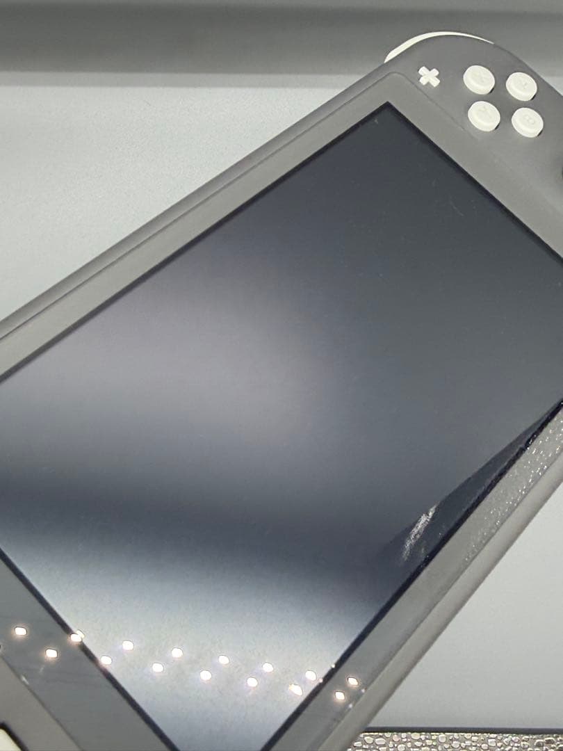 Nintendo Switch Lite グレー 本体（ソフトケース付き）