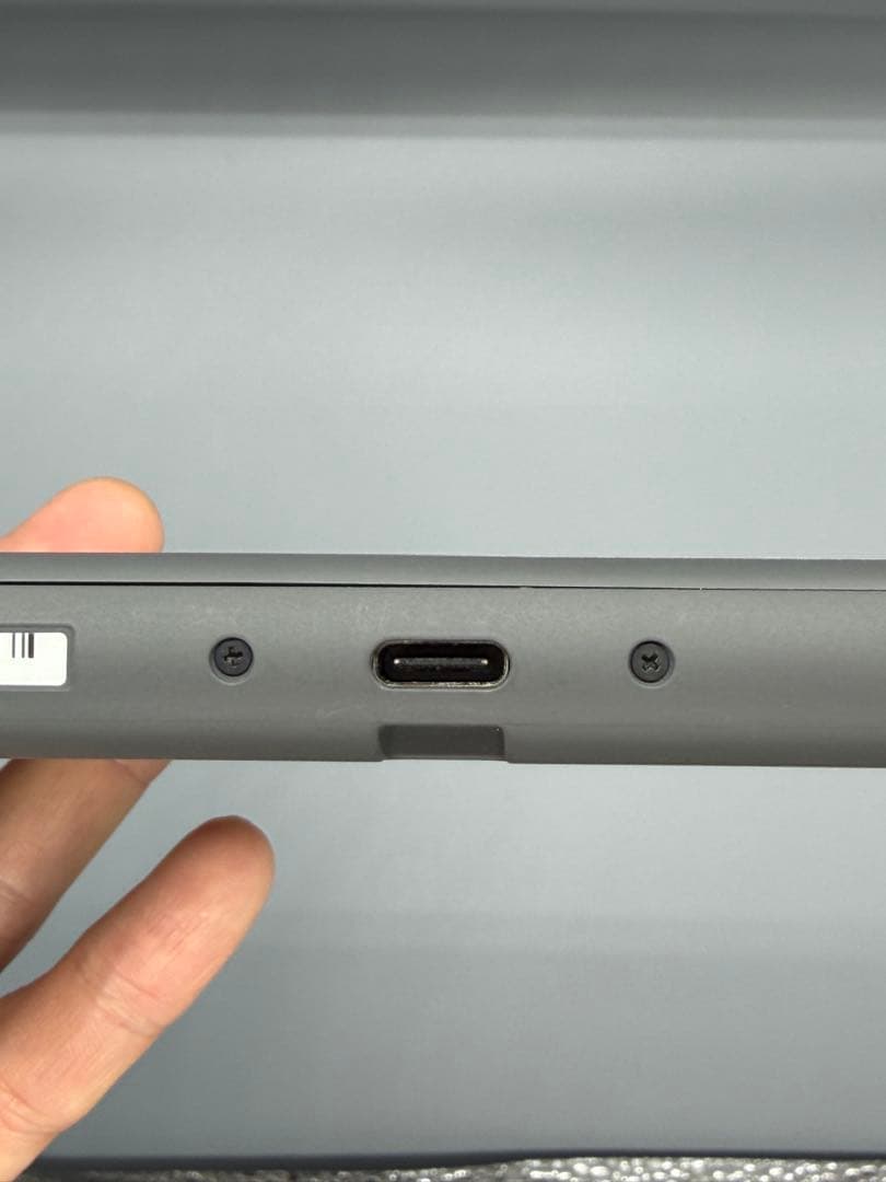 Nintendo Switch Lite グレー 本体（ソフトケース付き）