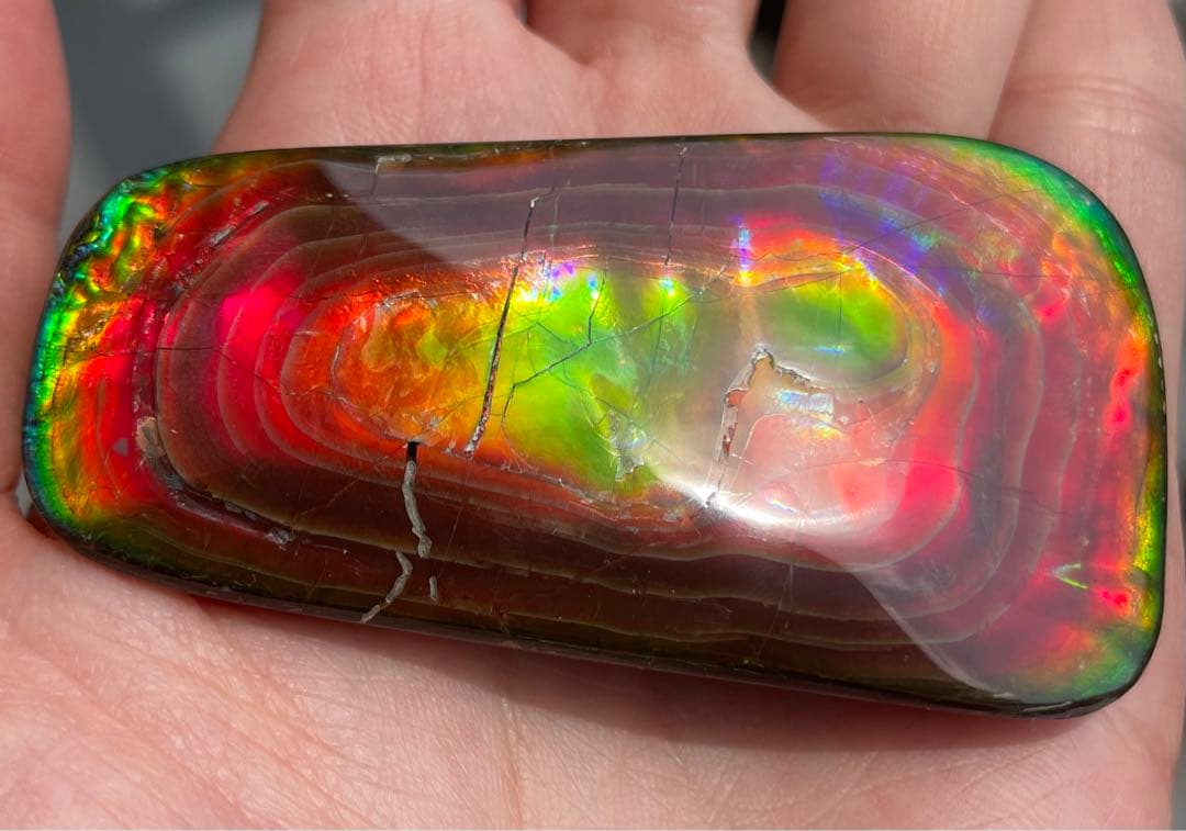 【期間限定セール】アンモライト 天然研磨ルースストーン