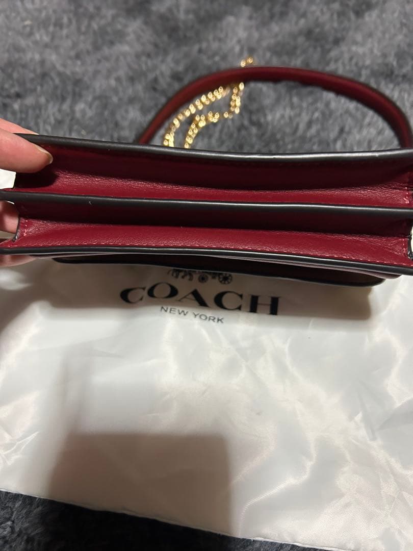 COACH チェリー柄 ショルダーバッグ