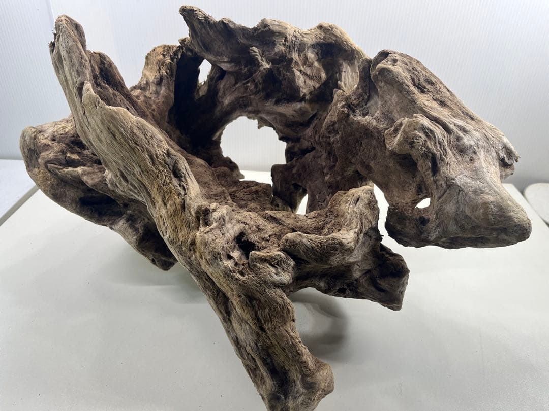 W30大型流木アク抜き済み流木 爬虫類シェルター 登り木 インテリア 生け花