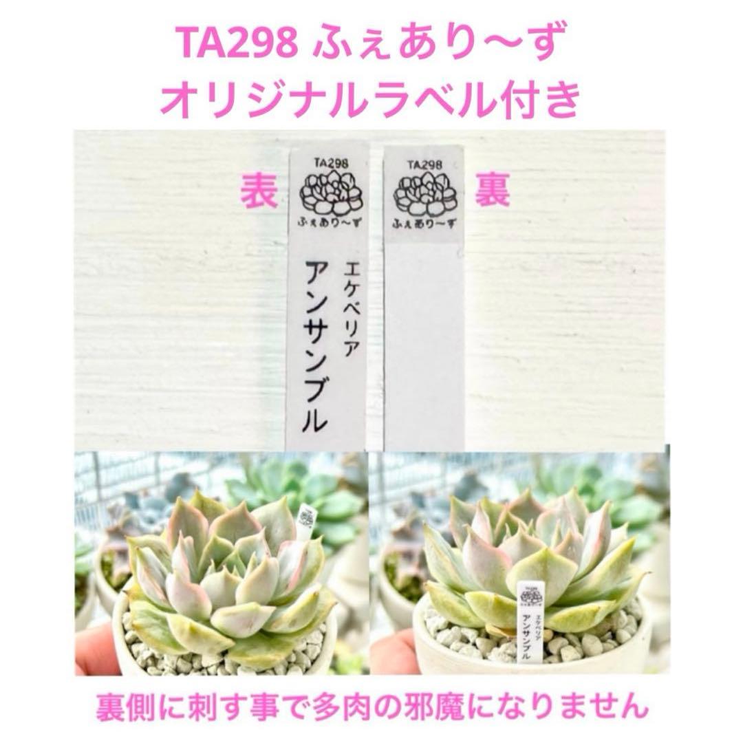 【サービス品@980〜】ソリ