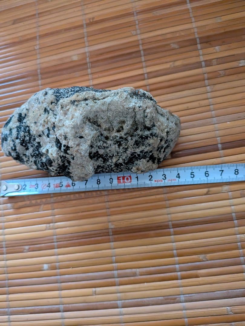 南極の石 コレクション用