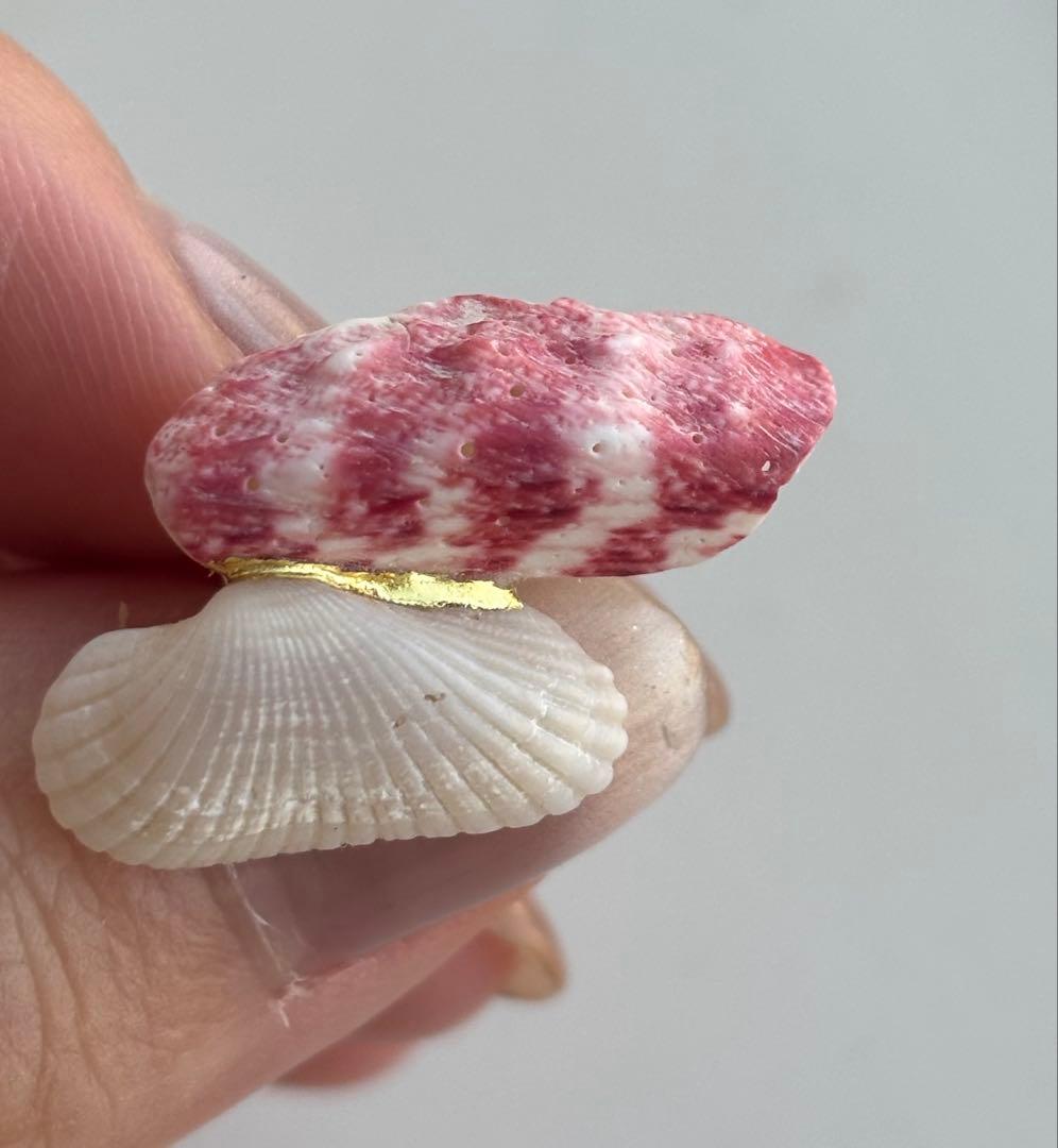 【み松】雨氣 貝繕いピアス他4点