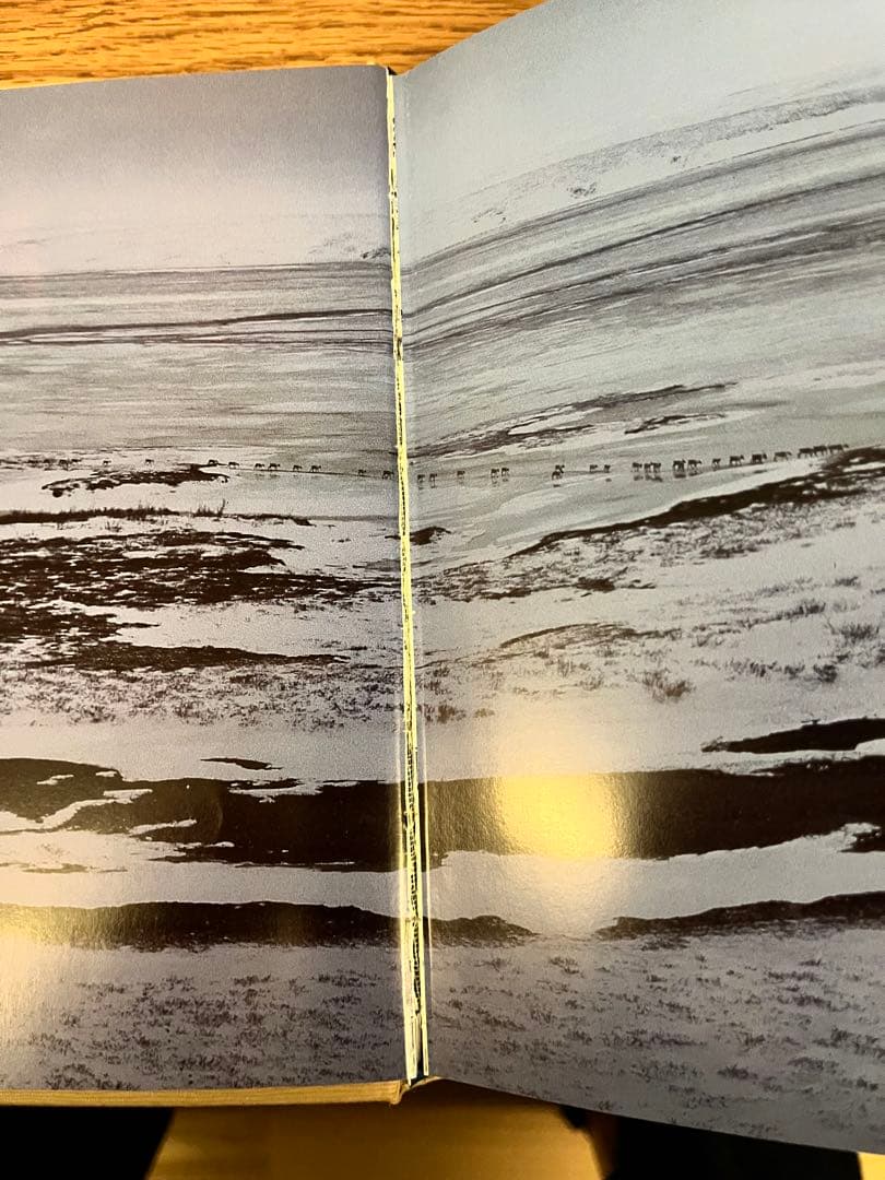 星野道夫の仕事 全4巻セット