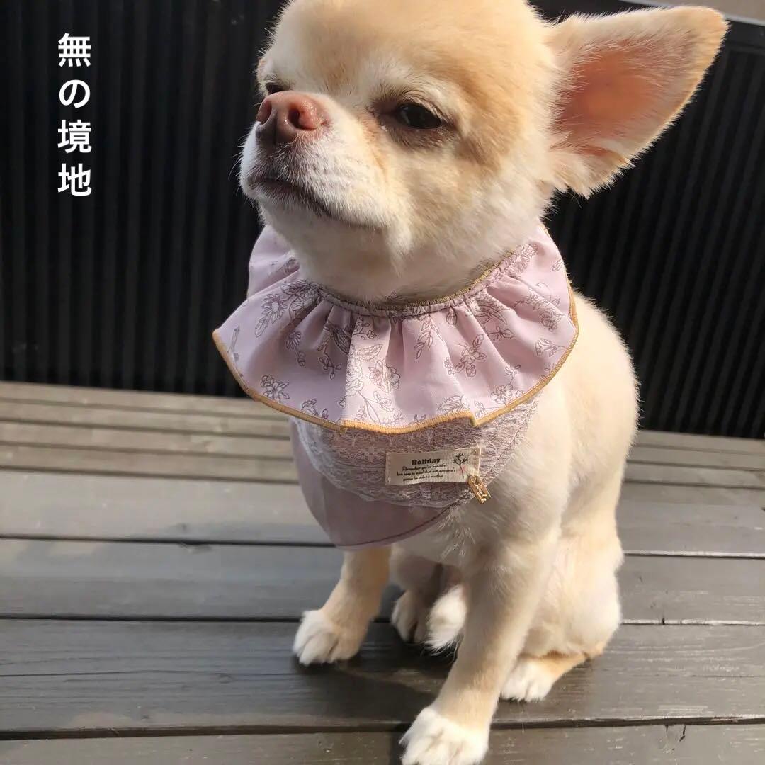 ハンドメイド　クールネックバンダナ　オーダー小型犬