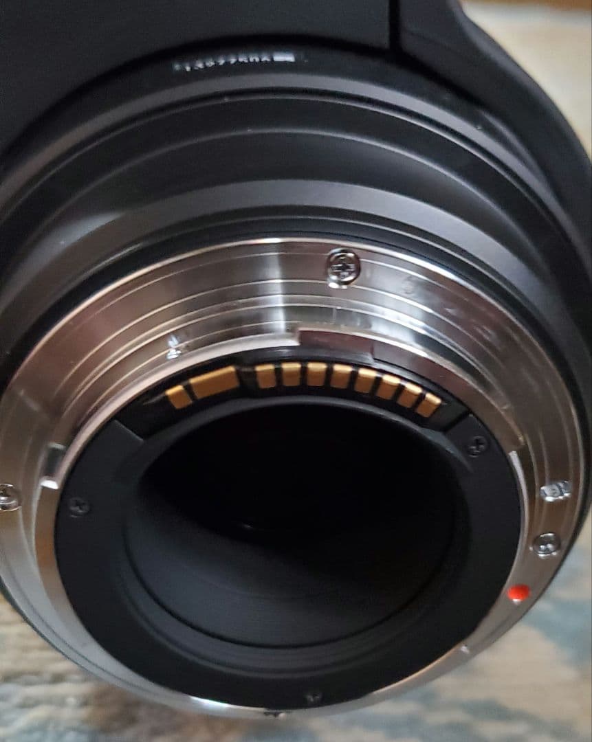 美品 SIGMA DG 50-500mm F4.5-6.3 Canon用