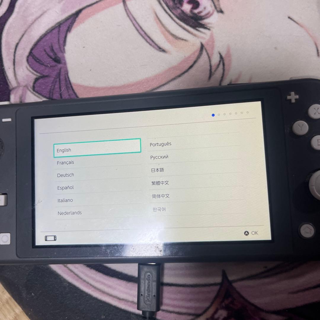 任天堂 Nintendo Switch ライト 本体 グレー