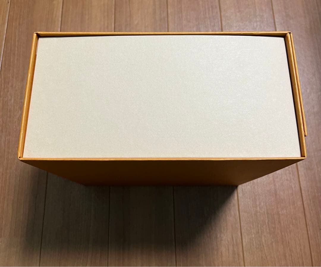 箱•ショッパー付属 美品 LOUIS VUITTON ダヌーヴ エピ