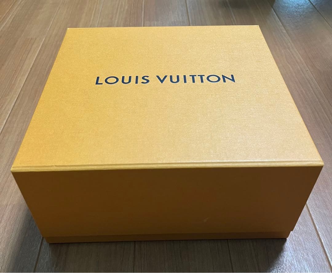 箱•ショッパー付属 美品 LOUIS VUITTON ダヌーヴ エピ