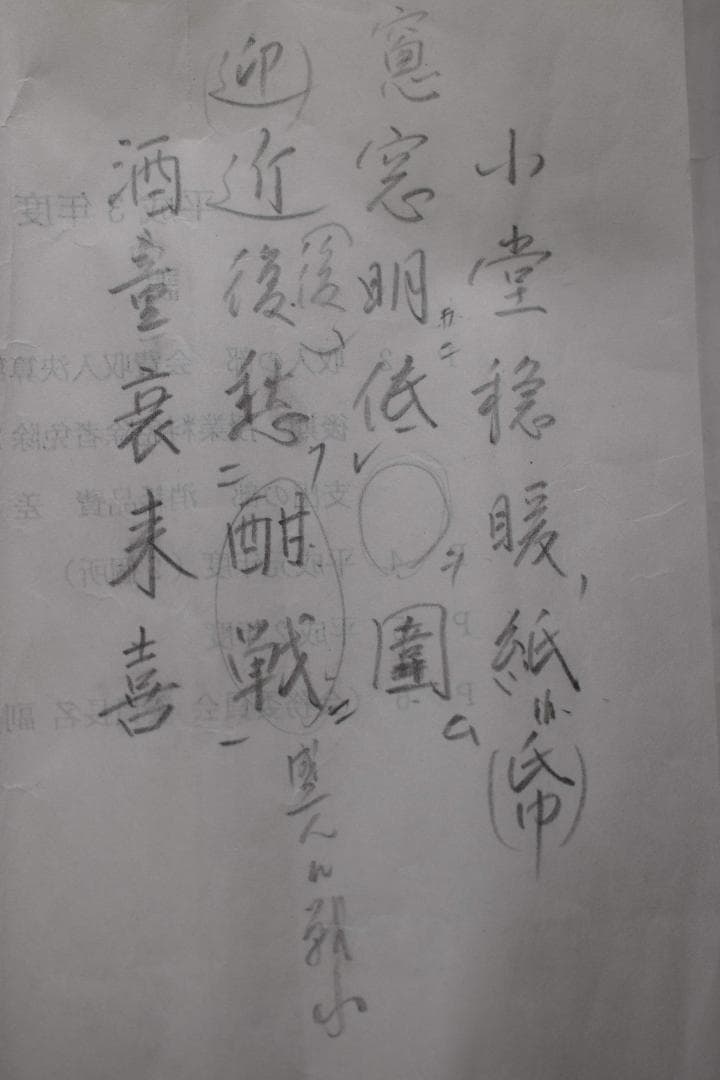 【模写】西郷南洲/西郷隆盛/二行書/双幅/掛軸☆宝船☆Y-217　JM