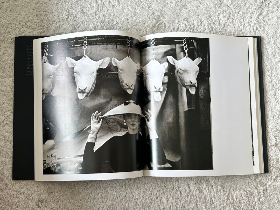 アート・デザイン・音楽 Guy Bourdin by Alison M. Gingeras