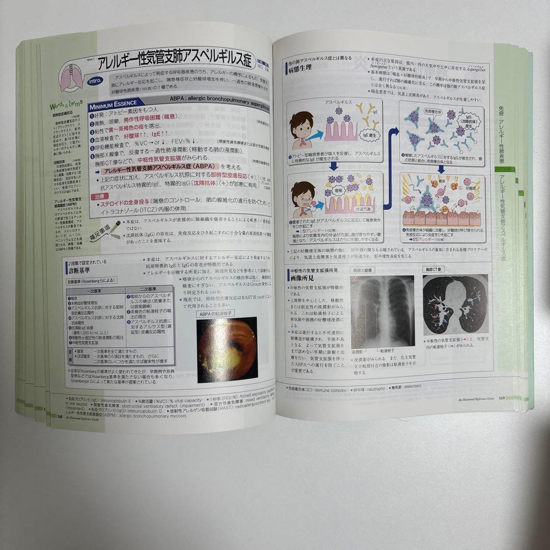 病気がみえる Vol1-11セット【外カバーないもの2冊あり】