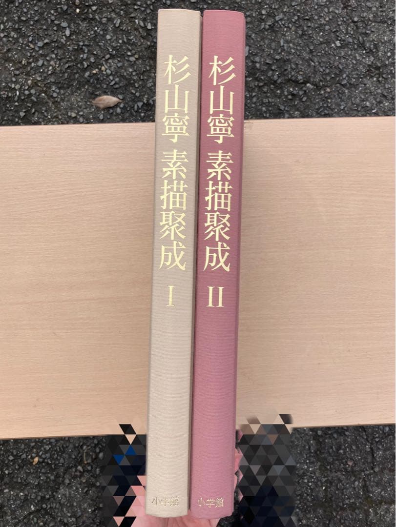 杉山寧素描聚成 全一巻二分冊 特典？付 1992年 小学館