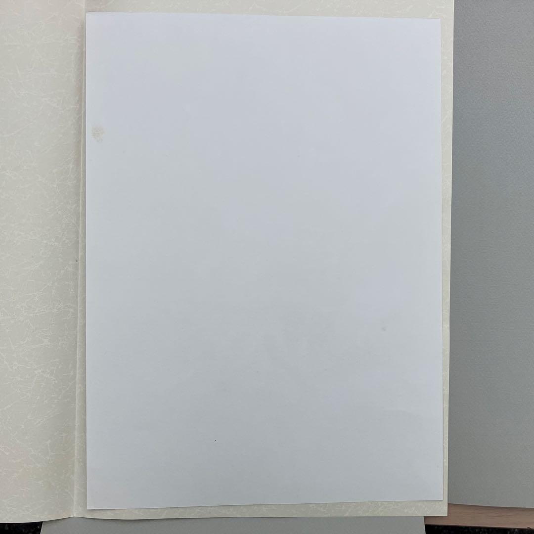 杉山寧素描聚成 全一巻二分冊 特典？付 1992年 小学館