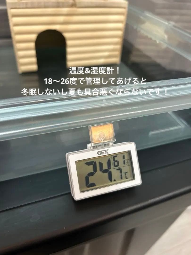 【総額2万円相当！ハムスター飼育セット】GEX グラスハーモニー・新品おやつ付き