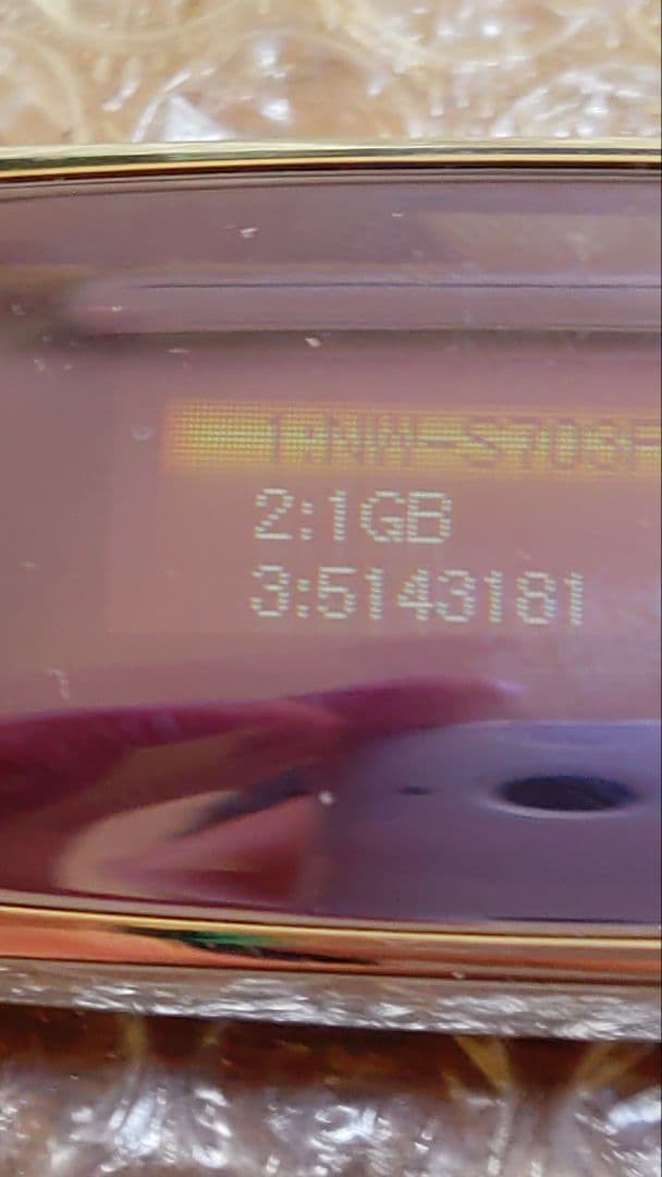 ソニーウォークマン NW−S703F 管理ナンバー538