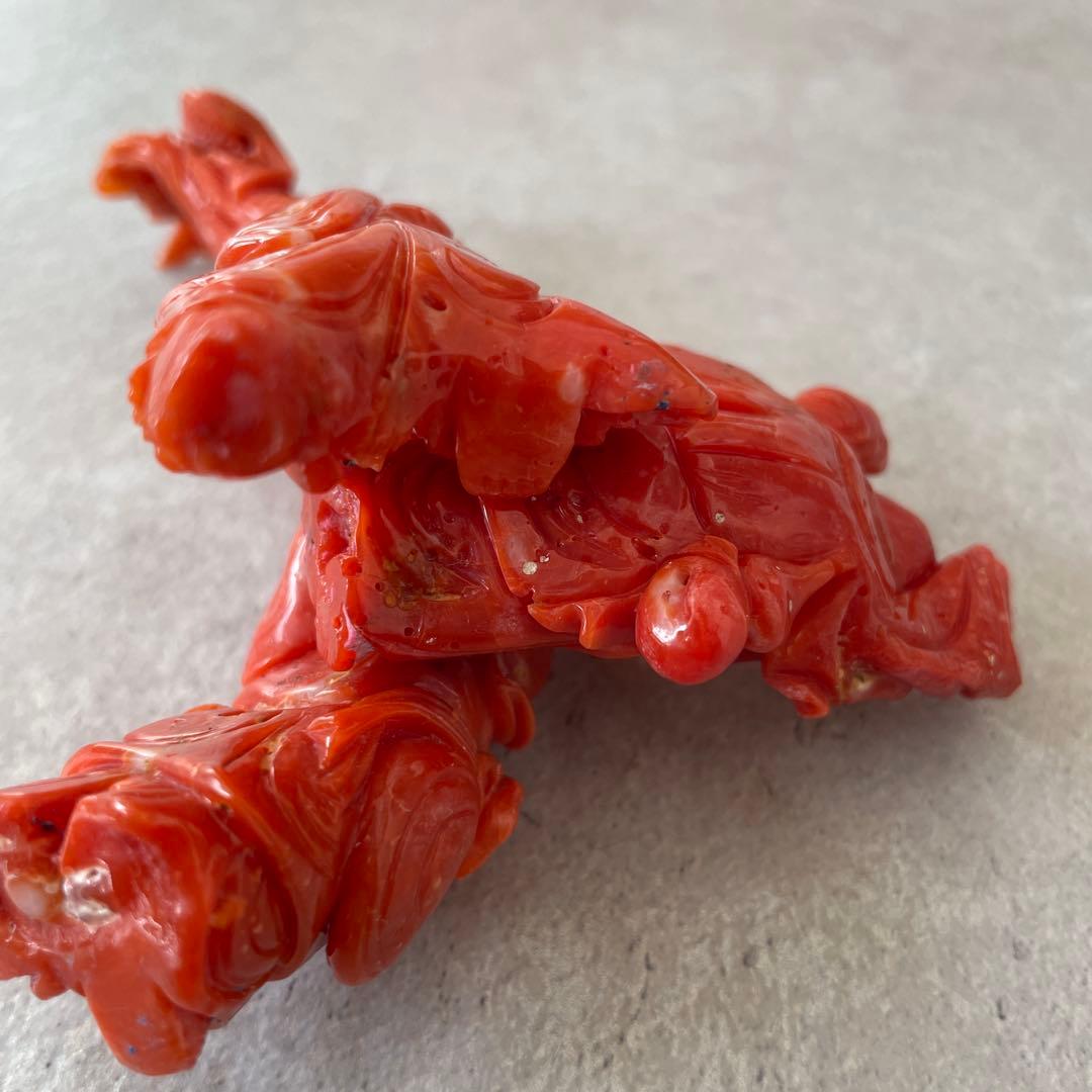 【サンゴを買収する様】ご確認用