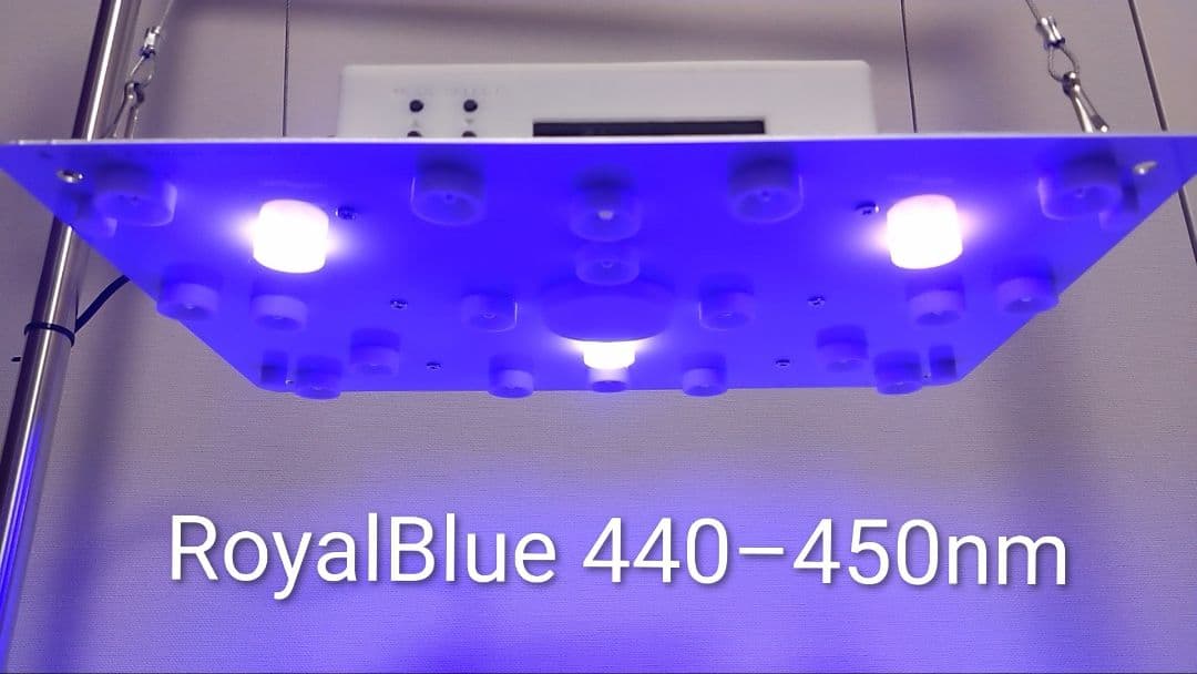 【L7B】多肉&塊根育成　水槽照明　タイマー付LEDライト（DC専用）