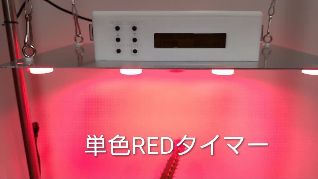 【L7B】多肉&塊根育成　水槽照明　タイマー付LEDライト（DC専用）