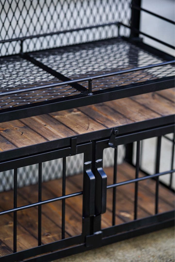 植物棚　アガベ　塊根植物