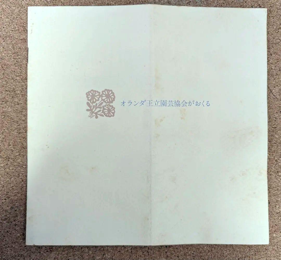 フランクリンポーセリング★花柄 ティーカップ 5客と飾り棚