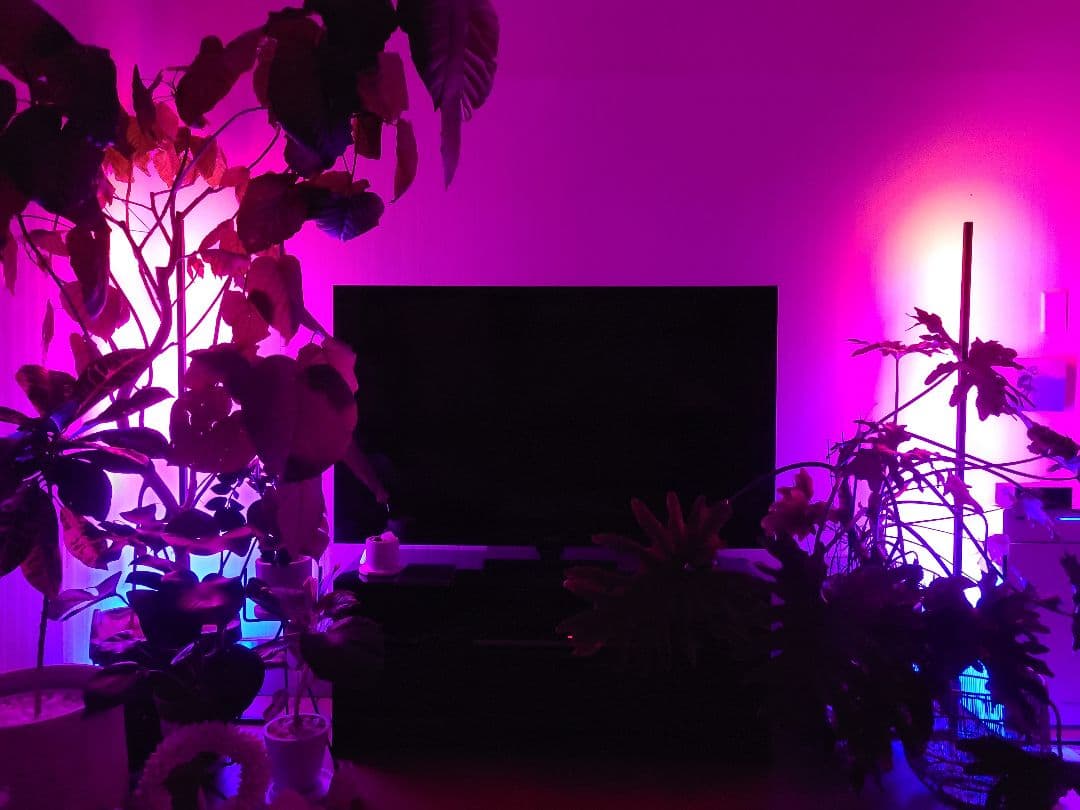 ILLUMINAR　Funky Lama　フロアライト2本セット　間接照明