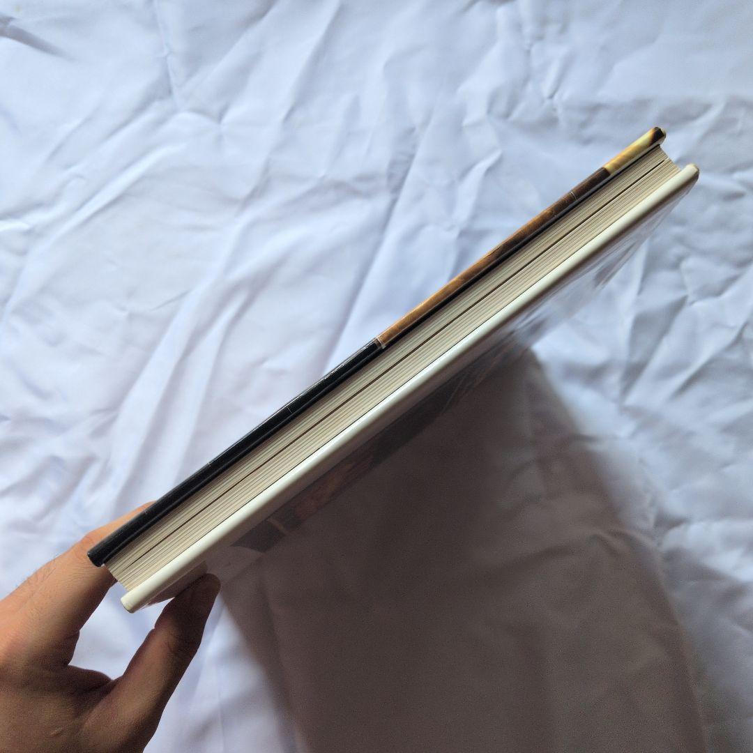 アート・デザイン・音楽 MIKE & DOUG STARN ATTRACTED TO LIGHT SET