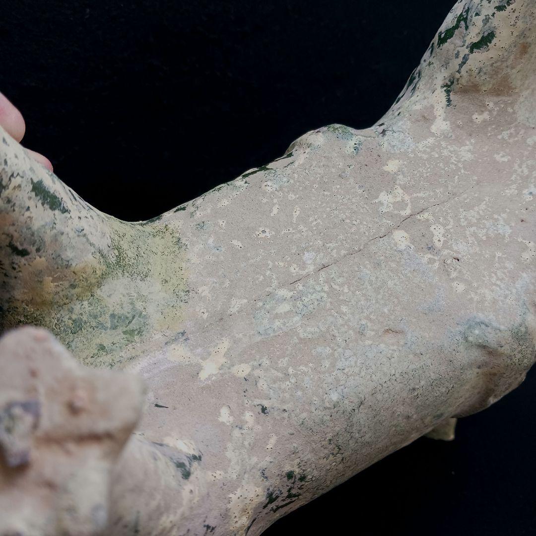 Y2952-1 中国 漢代 緑釉犬 置物 高さ34㎝