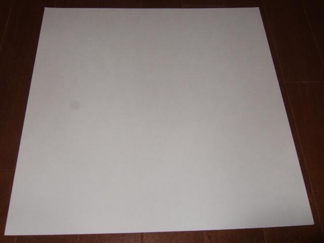 MEGADETH,メガデス,直筆サイン入り,新品レコード,アナログ盤