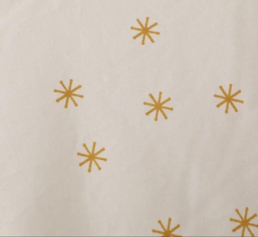 フォスフレイクス ハーフボディーピロー プラス