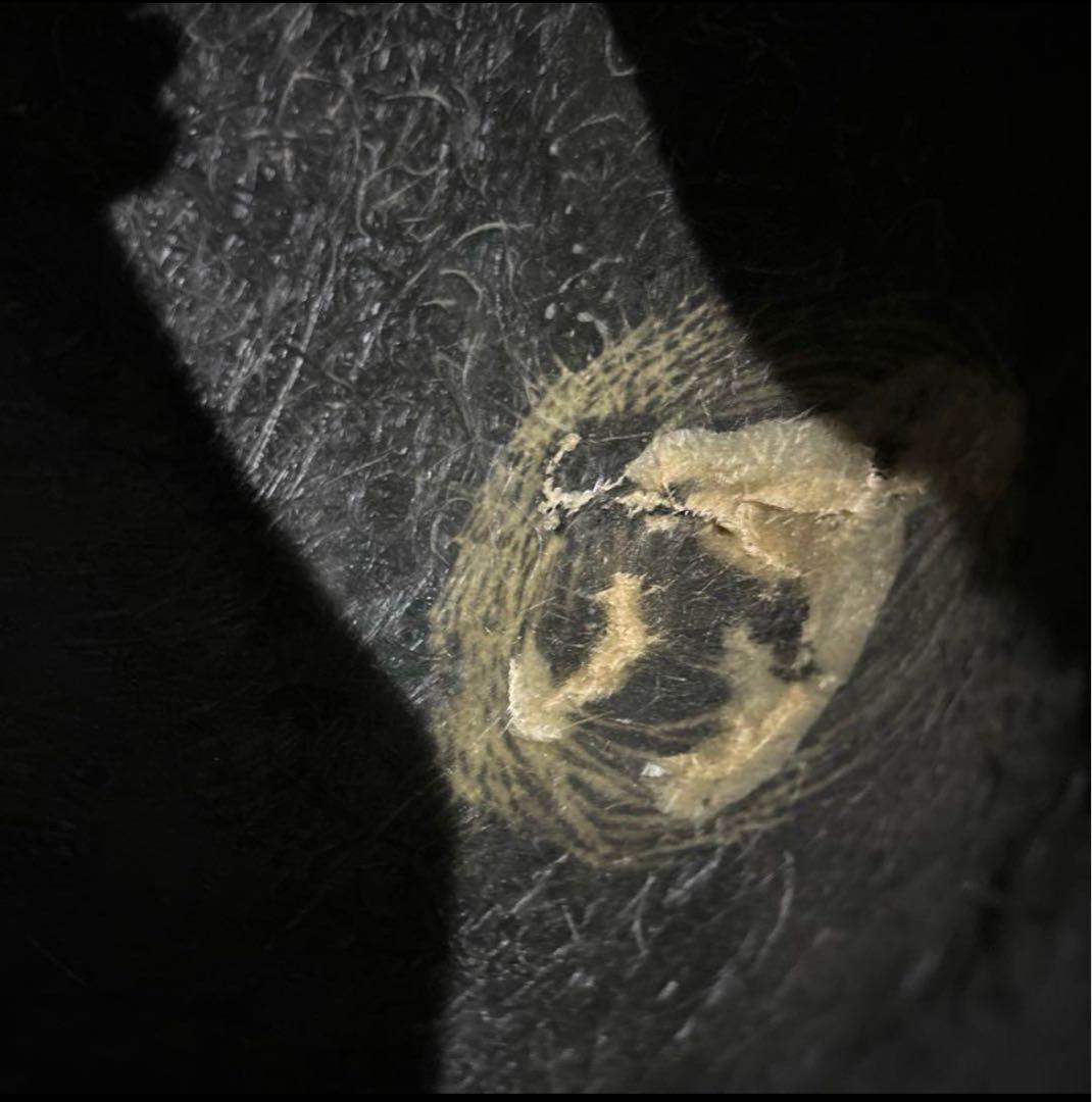 SR400 POSH Faith ポッシュ フェイス カフェ・スリータンクカバー