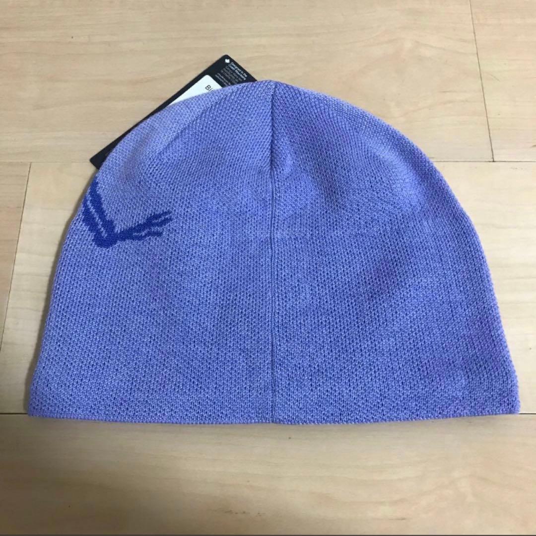 Arc'teryx Bird Head Toque ムーンストーン　国内未発売