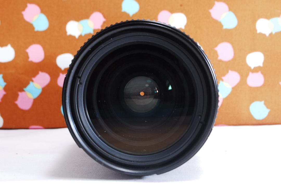 ✨ショット回数3742回✨お買い得✨Nikon D70 レンズセット