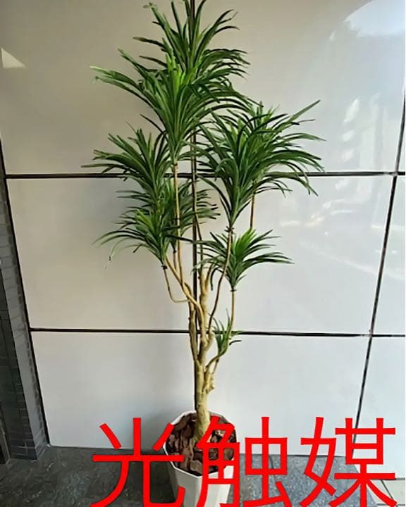 光触媒　人工観葉植物　ウォールグリーン　フェイクグリーン　ユッカツリー170