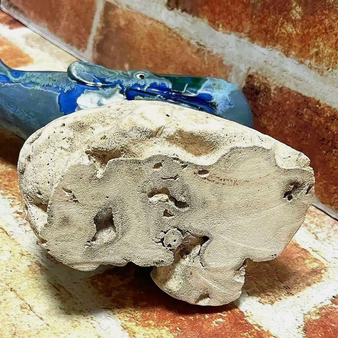 ハワイマウイ島クジラ置物