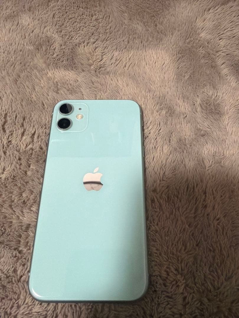 moshi  iPhone 11 ホワイト グリーン 2台本体