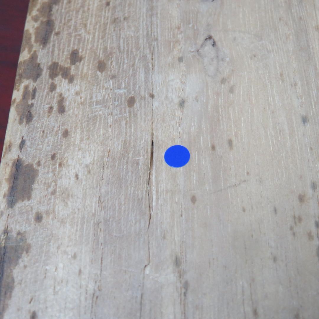 今右衛門 飾り皿 額皿 花文 大皿 染錦 色絵 共箱 蓋割れ