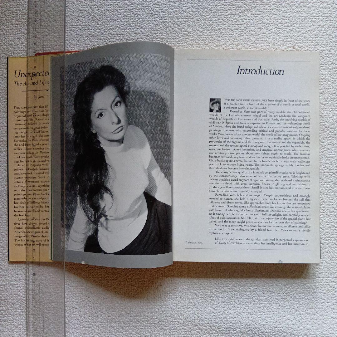 Remedios Varo　レメディオス・バロ : Unexpected‥