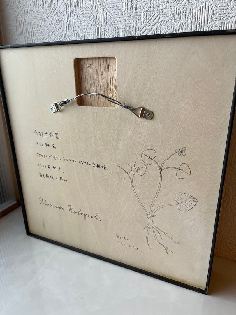 モリソン小林 作品