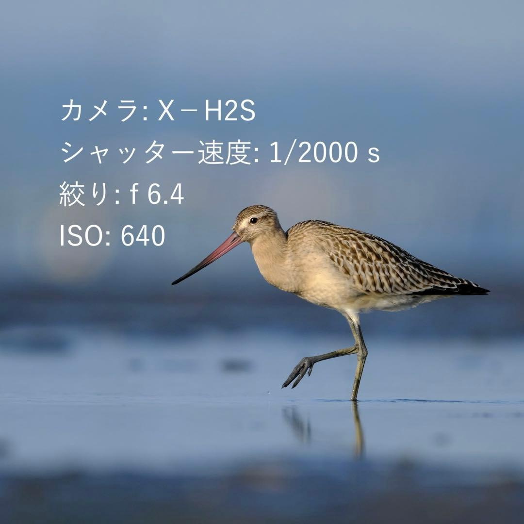 フジノンレンズ XF 500mm F5.6 R LM OIS WR カバー付き