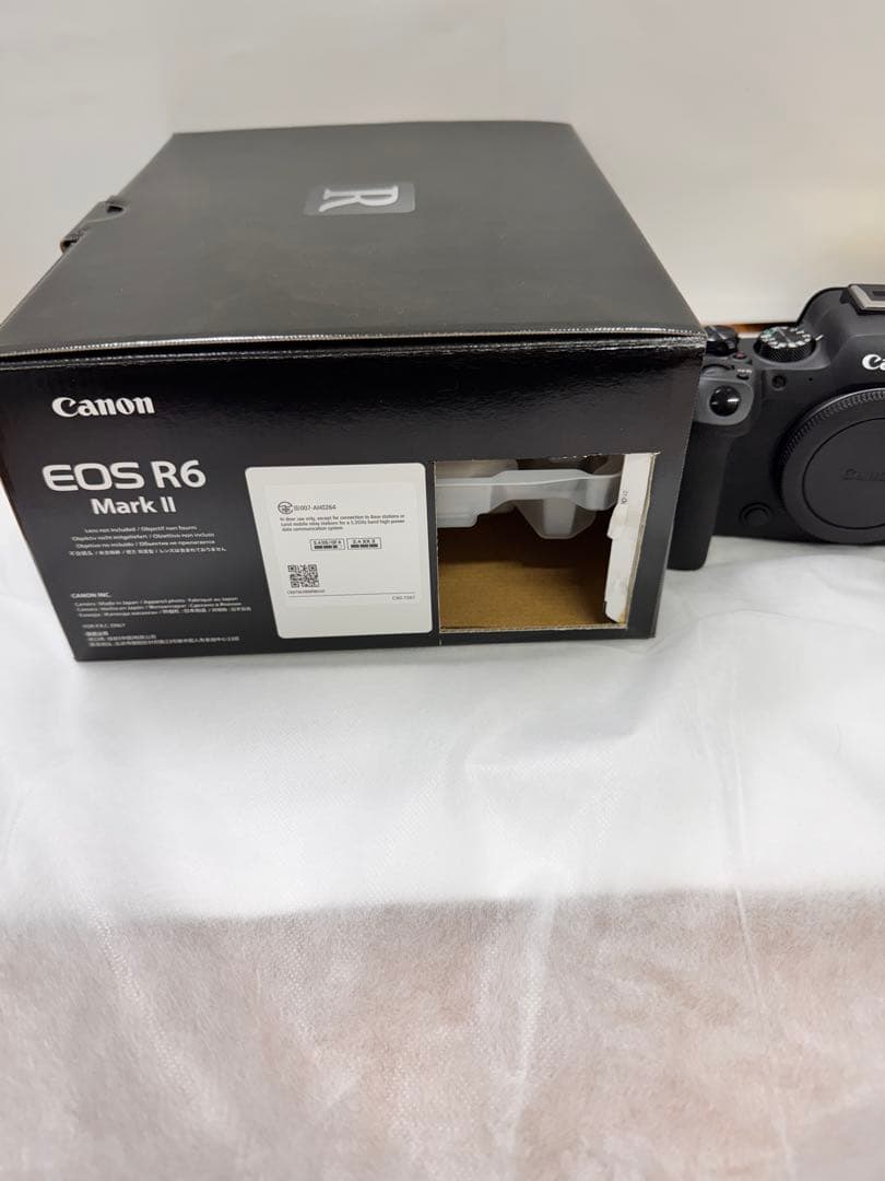 超美品　Canon EOS R6 MarkII ボディ